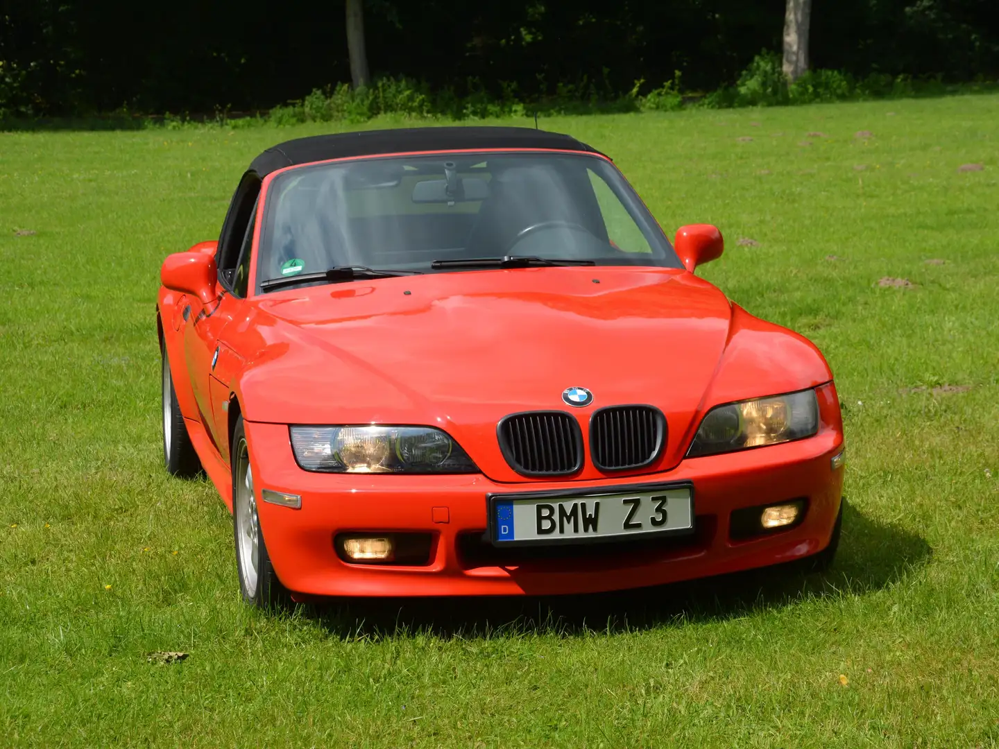 BMW Z3 Z3 Roadster: Facelift, gepflegt+gut ausgestattet Roşu - 2
