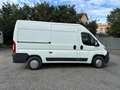 Citroen JUMPER  PM-TM L2H2 Bianco - thumbnail 2