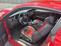 Ford Mustang Rood - thumbnail 14
