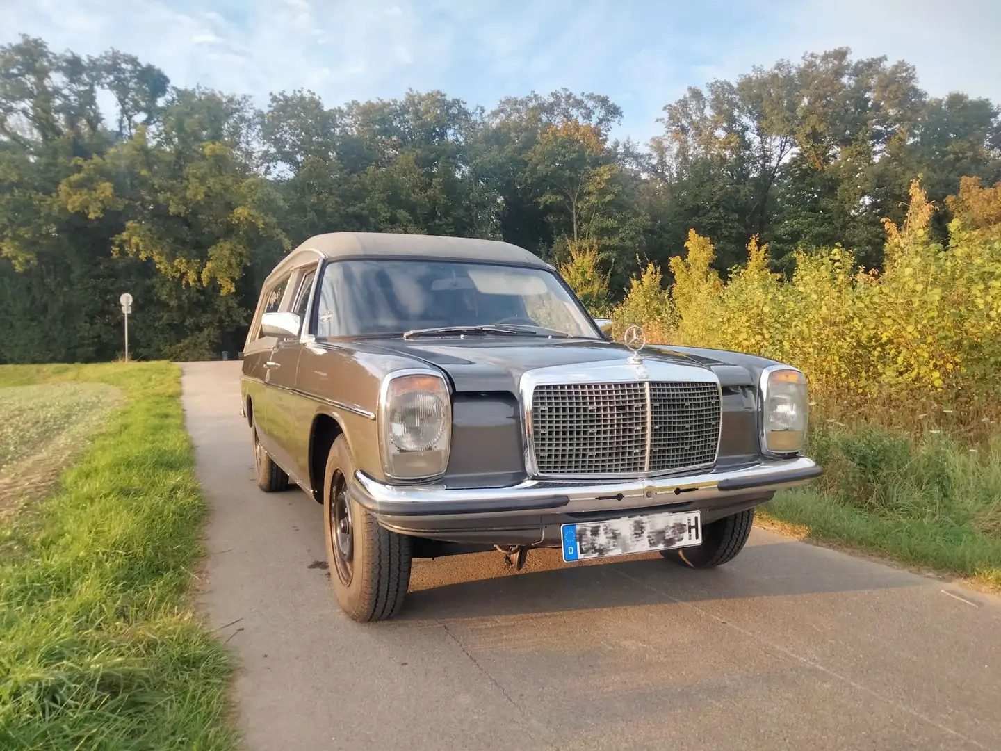 Mercedes-Benz W 114/115 Strich-Acht Leichenwagen - 2