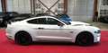 Ford Mustang GT 5.0 Aut.*LED*Navi*ACC*Unfallfrei* White - thumbnail 4