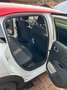 Citroen C3 C3 Pure Tech 110 S Weiß - thumbnail 12