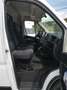 Fiat Ducato L3H2 35 Van140*opt. z. Camperausbau*§57a 12/24 Weiß - thumbnail 9