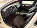 Mercedes-Benz C 180 AMG-SPORT*AUTOM*NAV*H&K*BI-XN*TMP*SHZ*PTS Blanc - thumbnail 13