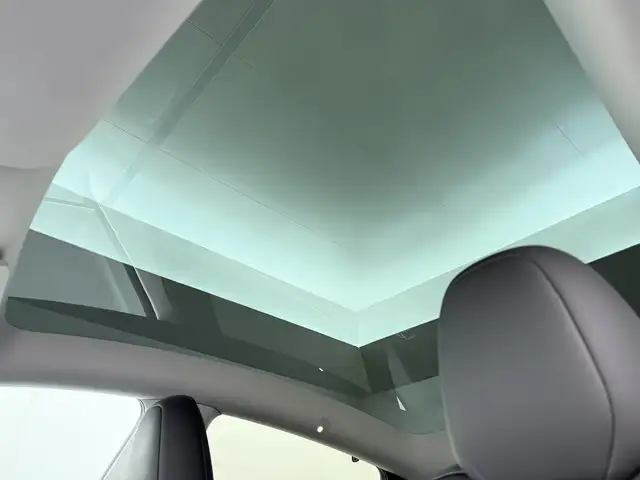 Tesla Model Y view 13