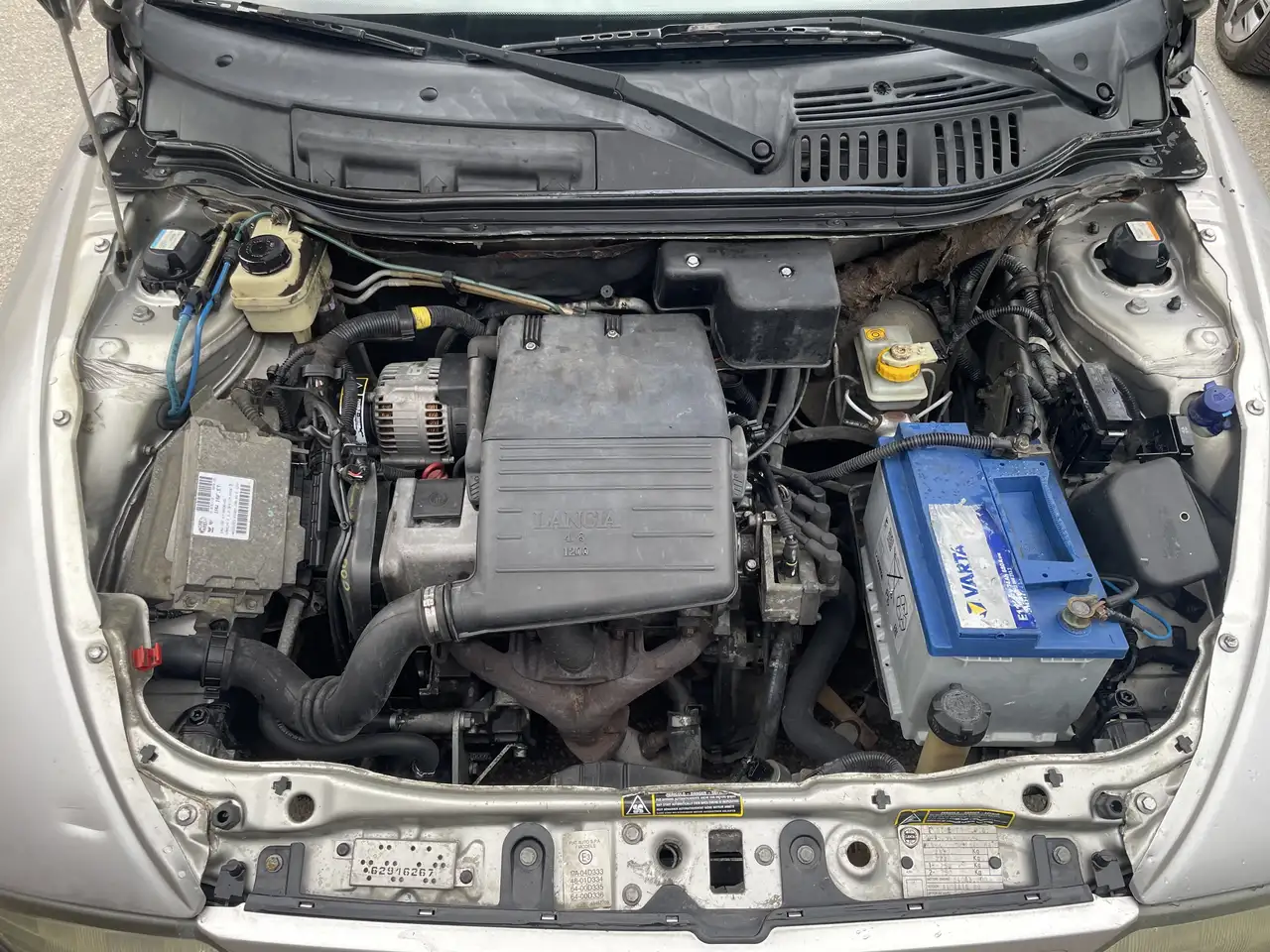 Lancia Y 1.1 8v Elefantino Blu, foto 8