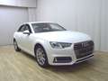Audi A4 30 TDI sport Navi Xenon PDC Shz Weiß - thumbnail 3