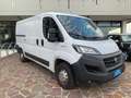 Fiat Ducato 2.3 MJT 120 CV PM Bianco - thumbnail 4