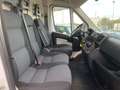 Fiat Ducato 2.3 MJT 120 CV PM Bianco - thumbnail 5