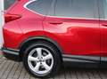 Honda CR-V 1.5 T 4WD Executive Rot - thumbnail 5