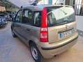 Fiat Panda Panda 1.2 AdventurE 4X4 BENZINA - thumbnail 5