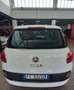 Fiat 500L 1.4 16v 95 cv CV Pop Star Bianco - thumbnail 3