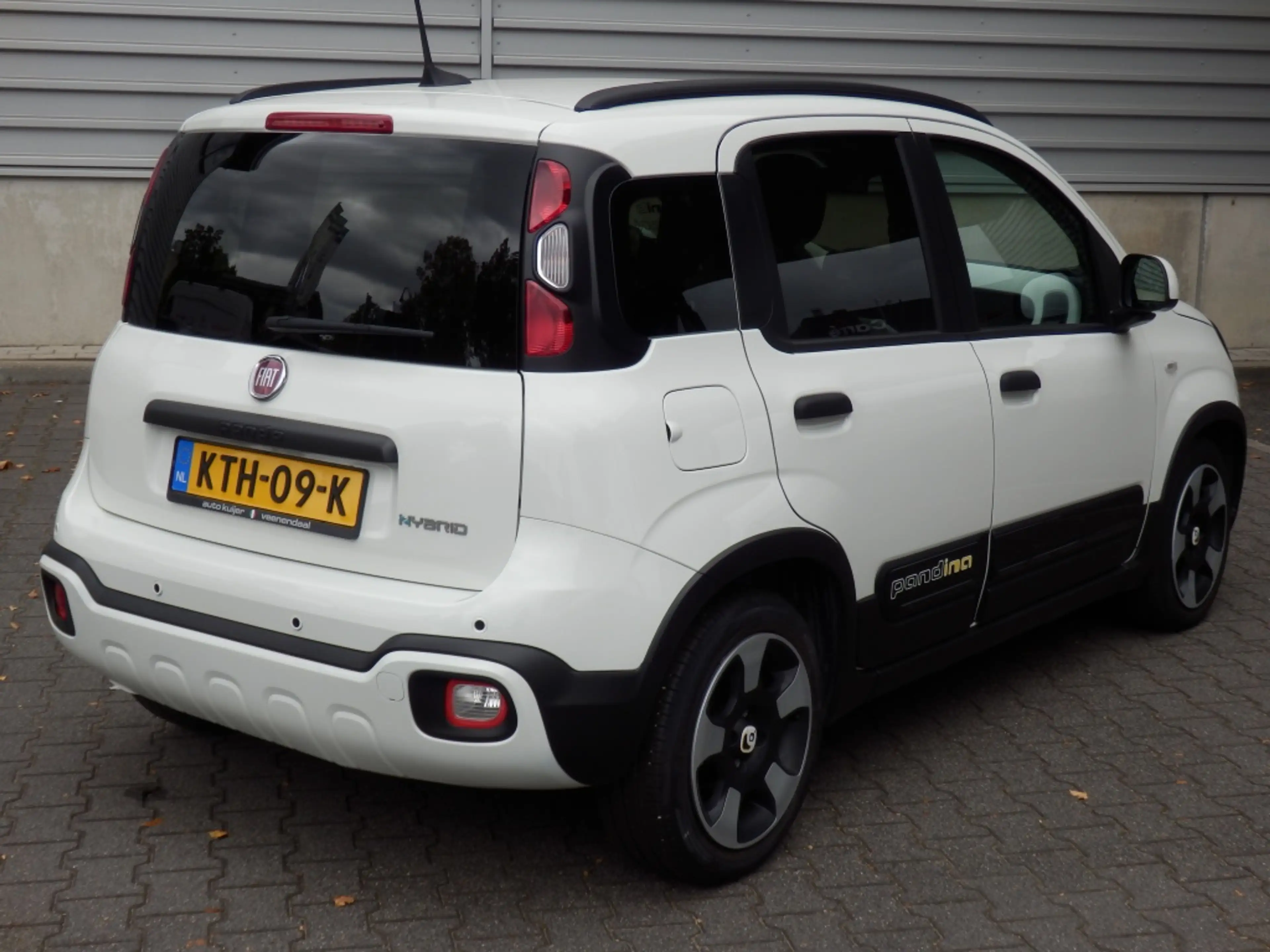Fiat Panda 1.0 Hybrid Cross I 5 pers. uitv. I Airco I Apple/A — photo 3