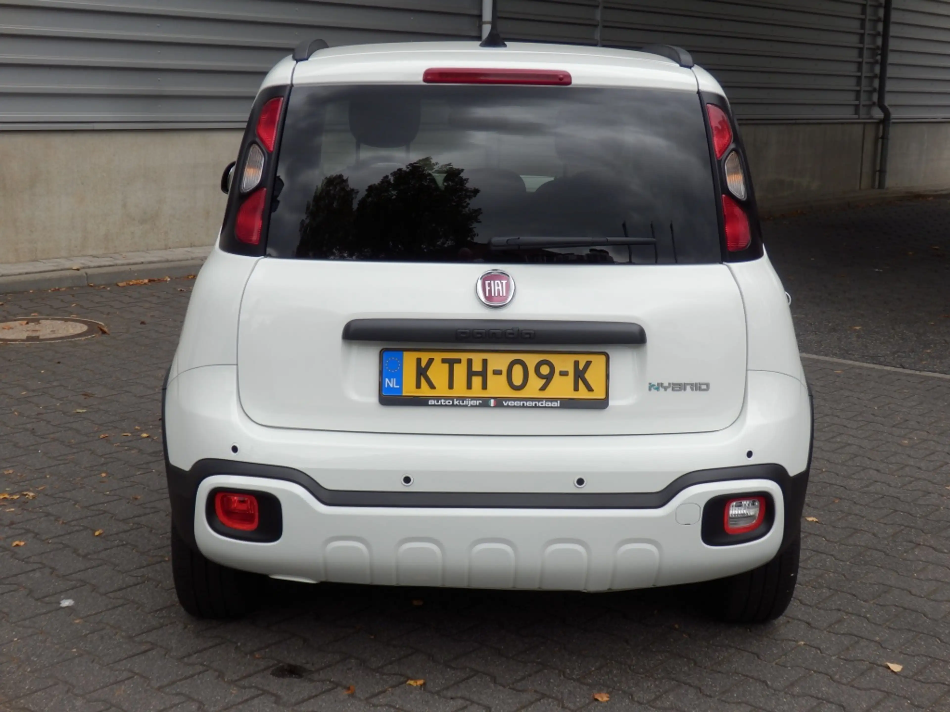 Fiat Panda 1.0 Hybrid Cross I 5 pers. uitv. I Airco I Apple/A — photo 5