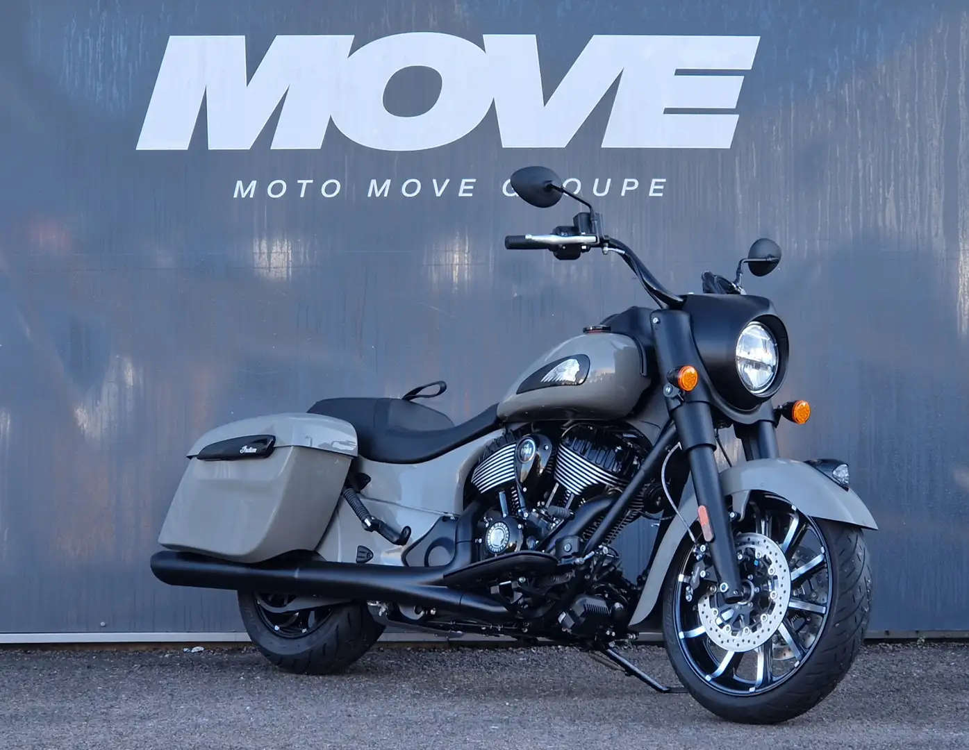 Indian Springfield Gris - 1