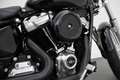 Harley-Davidson Softail 107 FXST Standard + Rinehart uitlaat *INCL. BTW* - - thumbnail 23