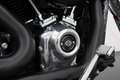 Harley-Davidson Softail 107 FXST Standard + Rinehart uitlaat *INCL. BTW* - - thumbnail 24