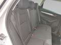 Skoda Karoq 1.5 TSI Selection Columbus ACC Matrix-LED Weiß - thumbnail 14