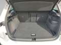 Skoda Karoq 1.5 TSI Selection Columbus ACC Matrix-LED Weiß - thumbnail 15
