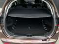 Kia Ceed / cee'd 1.6 GDI DynamicLine|AUT|Camera|Xenon|108DKM Bruin - thumbnail 14