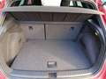 SEAT Arona 1.0 TSI Ecomotive S&S Xcellence 110 Rojo - thumbnail 7