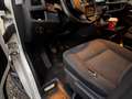 Volkswagen T6 Multivan Multivan Trendline Weiß - thumbnail 5