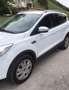 Ford Kuga Kuga 1,5 EcoBoost Trend Trend Weiß - thumbnail 3