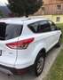 Ford Kuga Kuga 1,5 EcoBoost Trend Trend Weiß - thumbnail 2