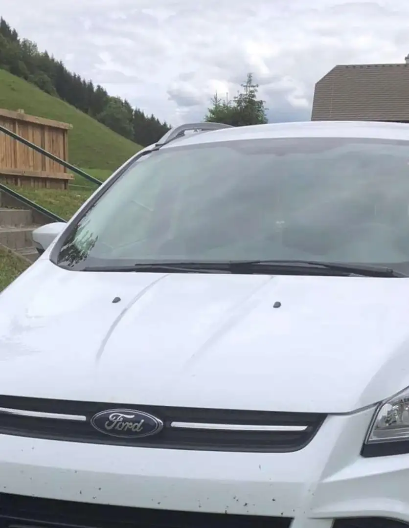 Ford Kuga Kuga 1,5 EcoBoost Trend Trend Weiß - 1