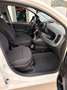 Fiat Panda Pandina III 2024 Pandina 1.0 firefly hybrid s Bianco - thumbnail 11