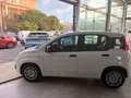 Fiat Panda Pandina III 2024 Pandina 1.0 firefly hybrid s Bianco - thumbnail 7