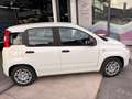 Fiat Panda Pandina III 2024 Pandina 1.0 firefly hybrid s Bianco - thumbnail 3