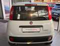Fiat Panda Pandina III 2024 Pandina 1.0 firefly hybrid s Bianco - thumbnail 5