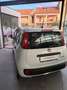 Fiat Panda Pandina III 2024 Pandina 1.0 firefly hybrid s Bianco - thumbnail 6