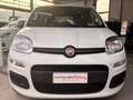 Fiat Panda Pandina III 2024 Pandina 1.0 firefly hybrid s Bianco - thumbnail 1