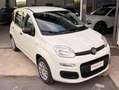 Fiat Panda Pandina III 2024 Pandina 1.0 firefly hybrid s Bianco - thumbnail 2