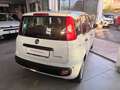 Fiat Panda Pandina III 2024 Pandina 1.0 firefly hybrid s Bianco - thumbnail 4