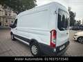 Ford Transit Kasten 350 L2 Trend,Hochraum,Scheckheftg Blanco - thumbnail 13