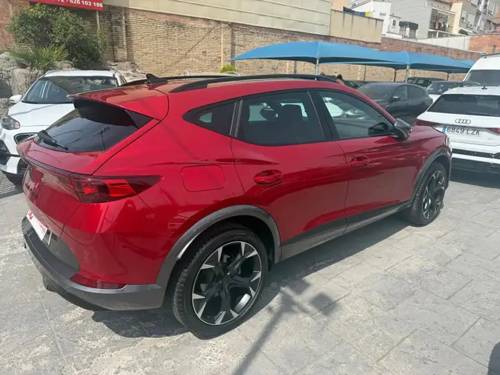 Cupra Formentor 1.5 TSI 2024, foto 16