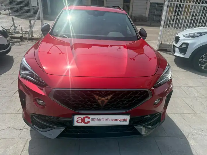Cupra Formentor 1.5 TSI 2024, foto 6