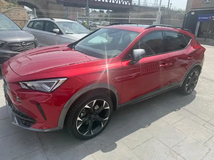 Cupra Formentor 1.5 TSI 2024, foto 4