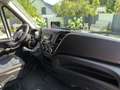 Iveco Daily Campervan Alb - thumbnail 13