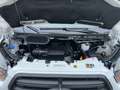 Ford Transit Pritsche DoKa 350 L3 *AHK*TEMPO*BEIFAHRER- Weiß - thumbnail 18
