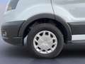Ford Transit Pritsche DoKa 350 L3 *AHK*TEMPO*BEIFAHRER- Wit - thumbnail 19