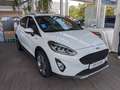 Ford Fiesta 1.0 EcoBoost S&S ACTIVE PLUS Bianco - thumbnail 3