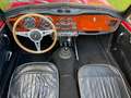 Triumph TR4 Roadster | Surrey top Rojo - thumbnail 19