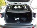 Hyundai TUCSON 1.6 T-GDI 265CH PHEV BUSINESS BVA6 HTRAC Blanc - thumbnail 9