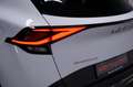 Kia Sportage 1.6 PHEV AWD Vision Aut*Kamera*LED*Carp Weiß - thumbnail 6