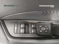 Skoda Octavia 2.0 TDI Executive DSG Wagon Argento - thumbnail 9