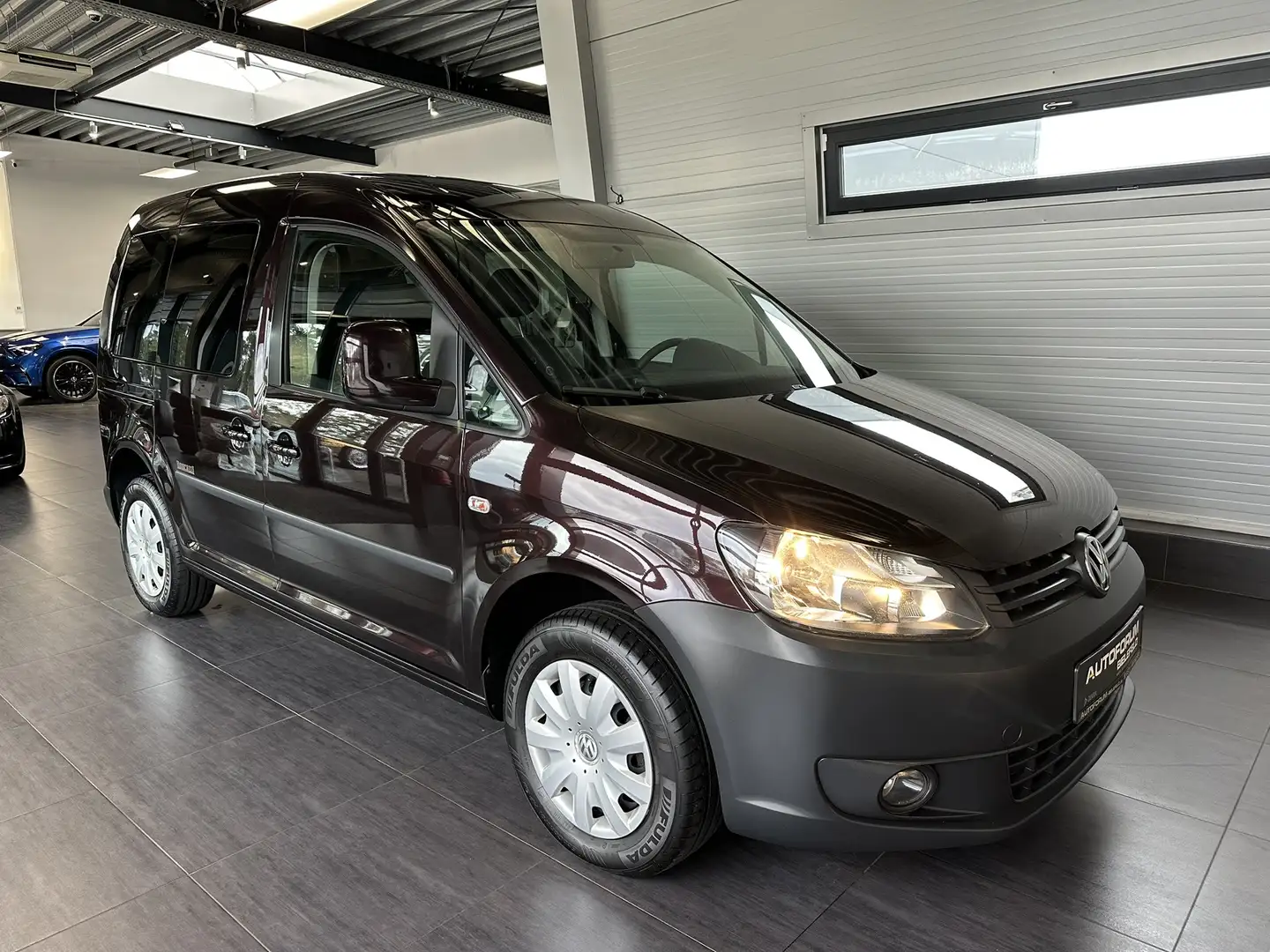 Volkswagen Caddy 1.6 TDI Roncalli Behindertengerecht-Rampe Paars - 1